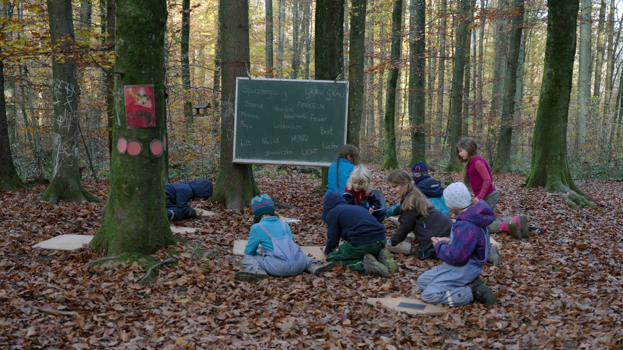 Wandtafel Lernen im Wald