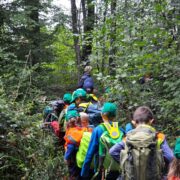 naturspielwald_waldschule_auf_dem_heimweg.jpg