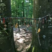 naturspielwald_waldspielgruppe_glückstor